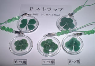 Aiclover01 Aiclover01