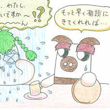Yachin4