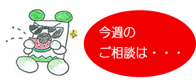 Kaitou