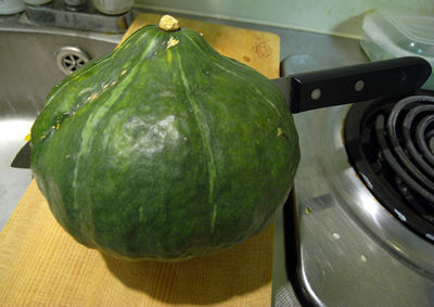 Kabotya