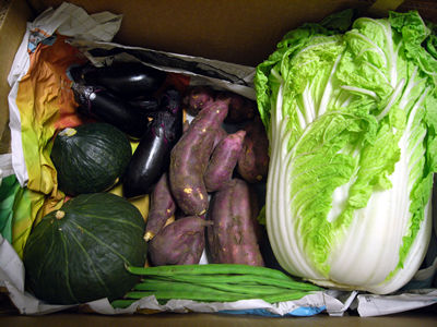 Yasai