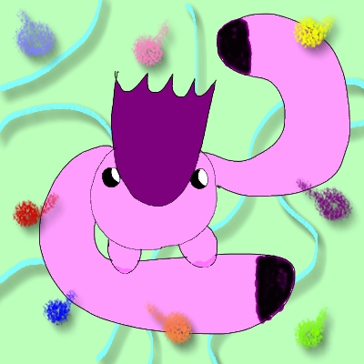 0404kororo
